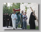 IMG_1311 (Medium)